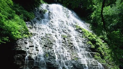 高端智能化稳定性